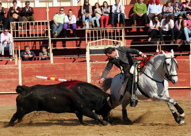 El rejoneador encela al astado a la grupa. (FOTO: Gallardo)