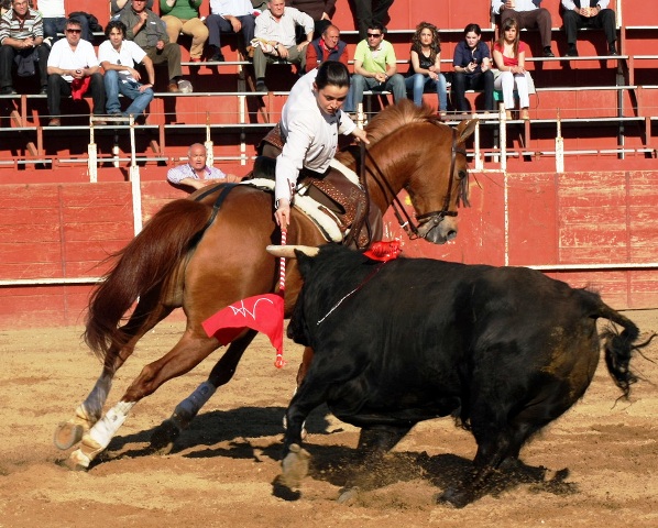 Noelia parando a su toro.