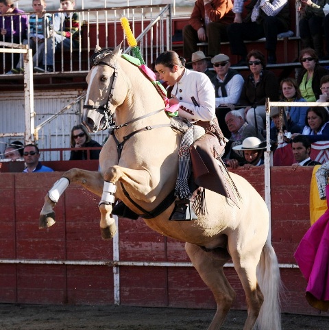 Citando la embestida por medio de la elevada.