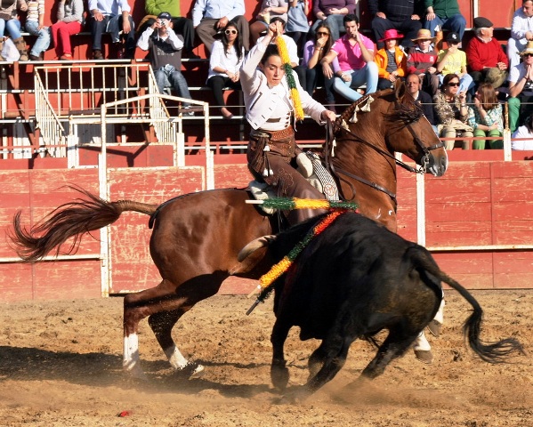 Buena banderillas, fijada para clavarse en lo alto.