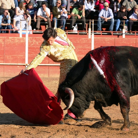 El toro, todo un TÍO,  se desplazó con celo ante la muleta de Solís.