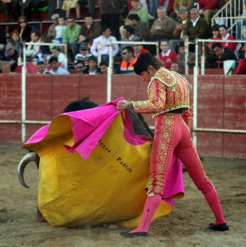 Julio Parejo se gustó a la verónica en sus dos toros.