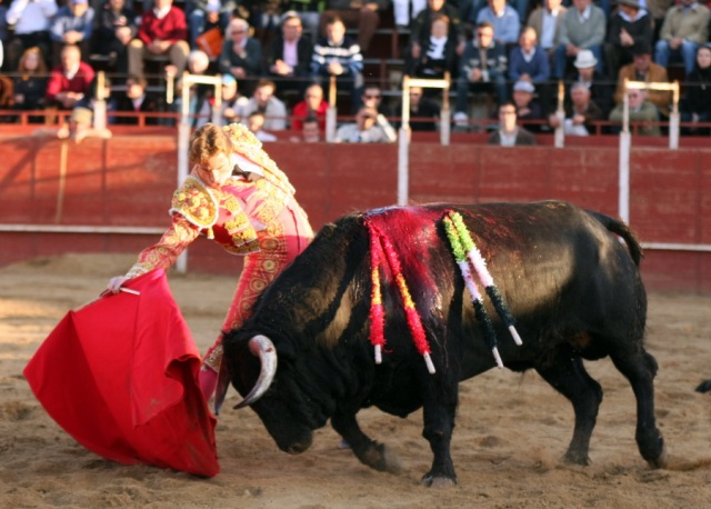 Julio, se gustó toreando con la derecha.