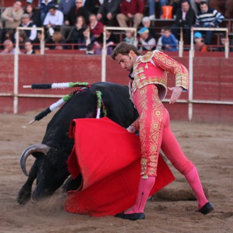 El nacimiento de un trincherazo.