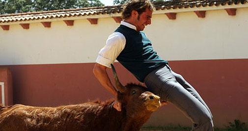 Julio Parejo en el momento de la cornada en la finca de Sánchez Ibargüen. (FOTO: Gallardo)