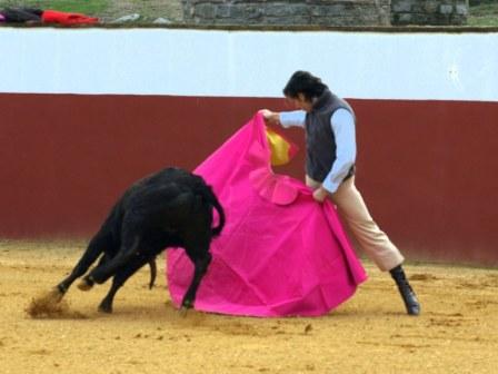 Javier Solís parando con el capote a su primera vaca.