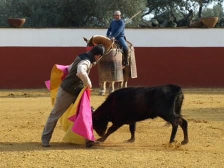 Antonio Muñoz colocando la vaca en el caballo.