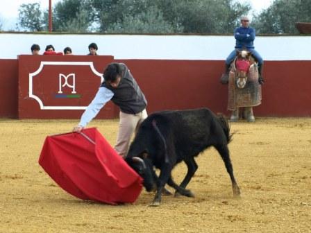 Todos en silencio pendiente del juego que da el animal.