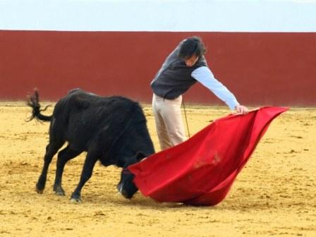 Que se desplaza con boyantía por uno y otro pitón.