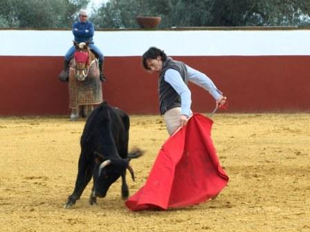 Queriendo siempre coger los vuelos de la muleta.