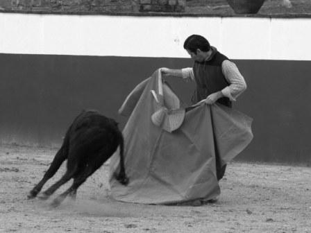 La segunda vaca sigue el dibujo imaginario que le marca el percal de Antonio Muñoz.