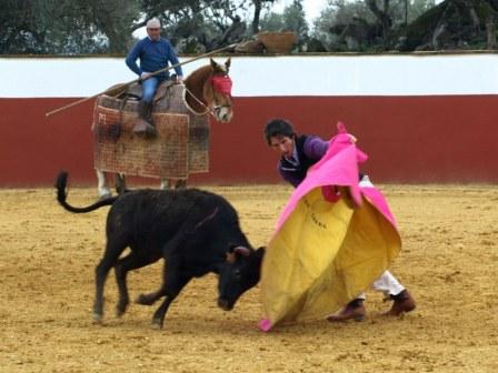 Es Javier Ambel el que saca a la vaca del peto y la vuelve a colocar en suerte.