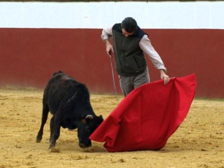 Antonio Muñoz se gusta con este estético remate por bajo donde marca la salida al animal.