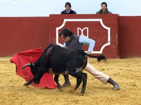 Javier Solís, enseñando a embestir al animal.