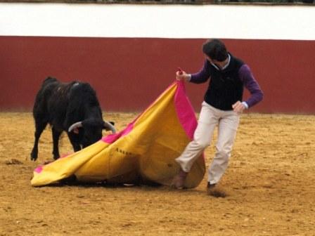 Javier Ambel en esa forma tan característica en él de tirar de las vacas...y de los toros.