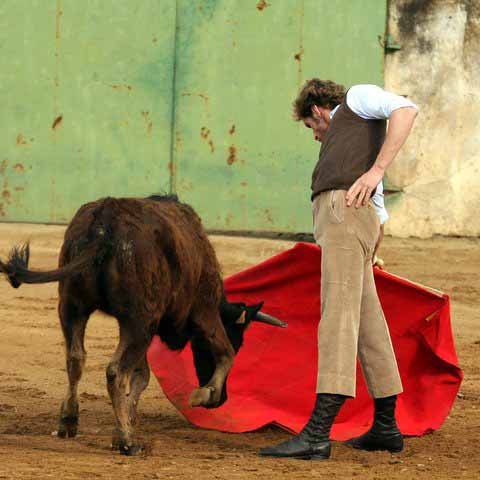 Julio Parejo probándose con una vaca del hierro de Píriz.
