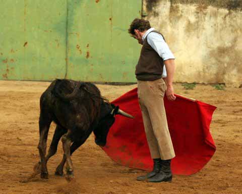 Muletazo relajado de Julio Parejo, gustándose con la de Píriz.