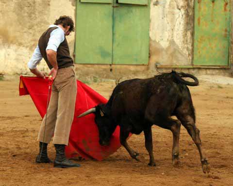 Con la izquierda se gustó Julio, riñones encajados...