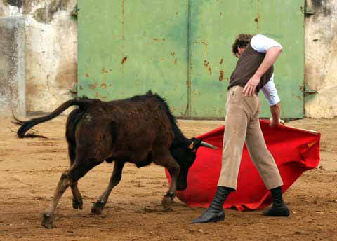 La cintura cimbreada, la muleta pulseada y la vaca embebida en la bamba.