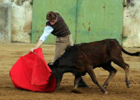 Prueba superada. El torero está listo para su nueva cita.