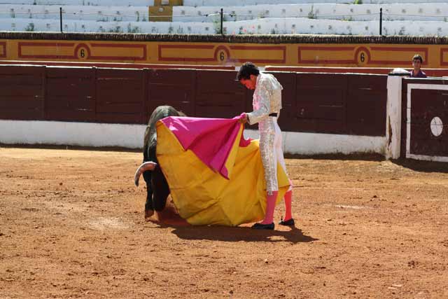 Suavidad en los vuelos del capote.