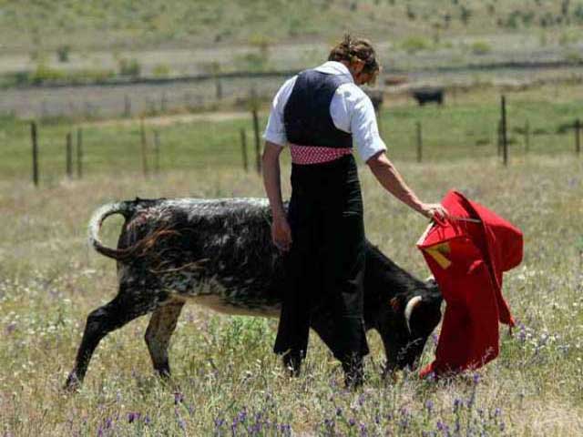 Con una nueva vaca Julio se relajó toreando a gusto.