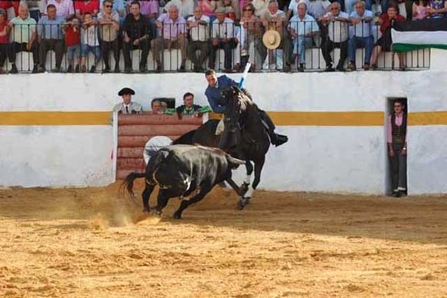 A este toro lo cuajó y le cortó una oreja.