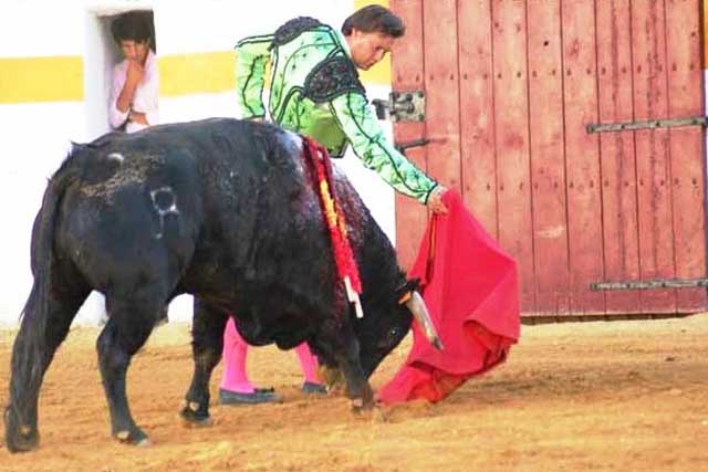 A ese primer ejemplar le arrancó una oreja.