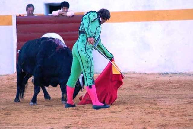 El animal tuvo una gran transmisión.