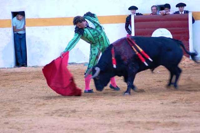 Humilló queriendo siempre coger la muleta.