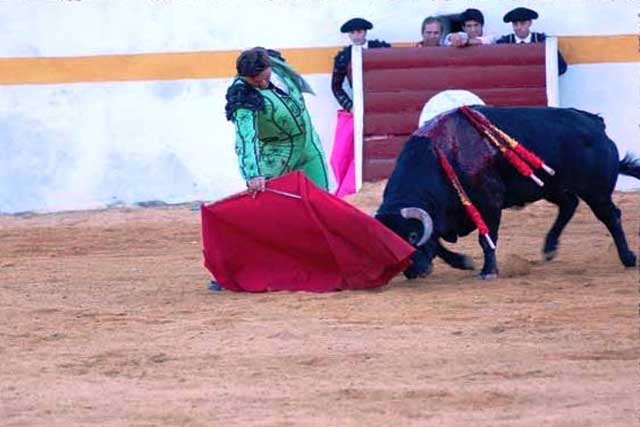 El astado humilló con fijeza por abajo, arrastrando el hocico.