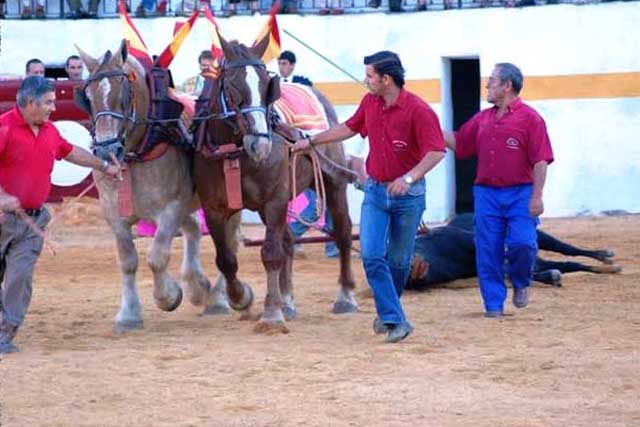 Merecida vuelta al ruedo como premio a la bravura.