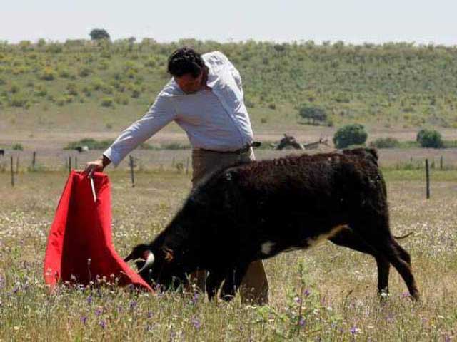 Cuando la bravura brota en todos los sentidos