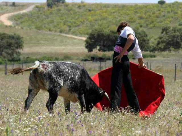 Encajado de riñones Julio se gustó y gustó.