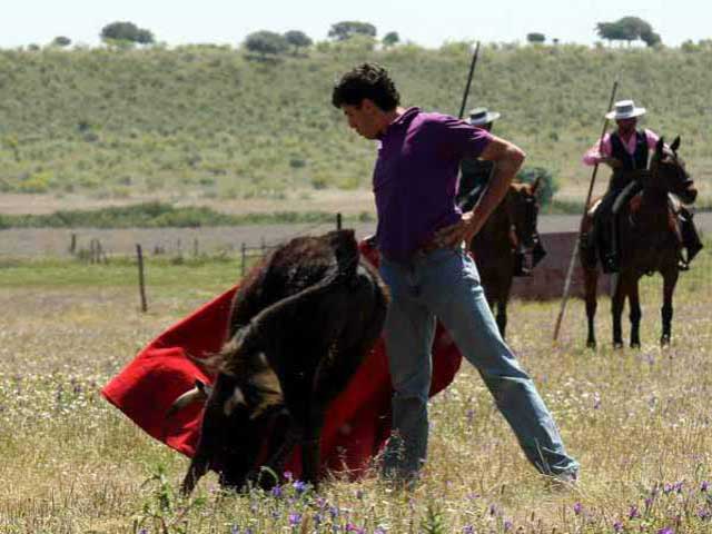 Todos querían sentir la bravura en sus muñecas.