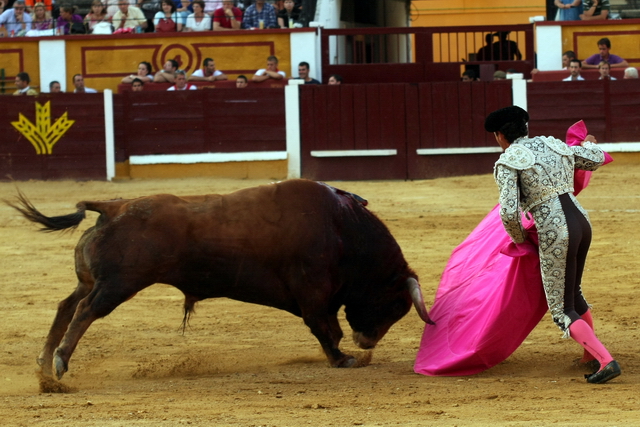 Fernando González enseñando a embestir al eral. (FOTO: Gallardo)