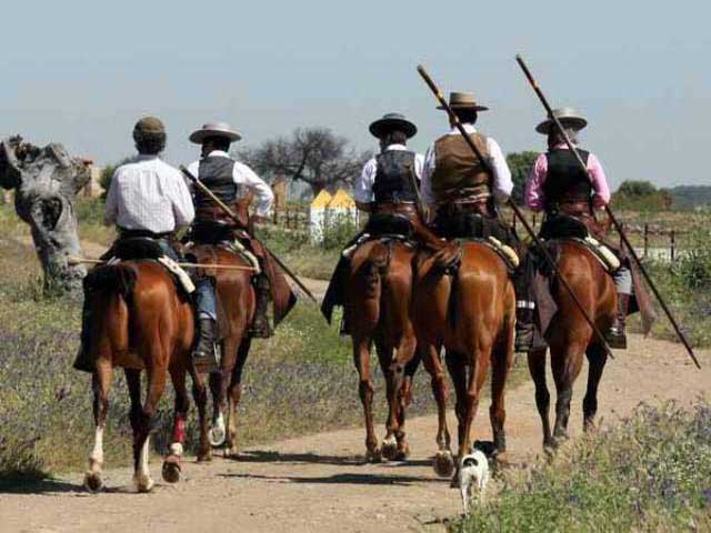 El ganadero y los jinetes camino del tentadero.