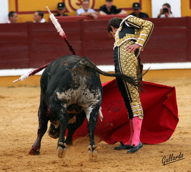 Castella cimbrea la cintura para alargar el derechazo.