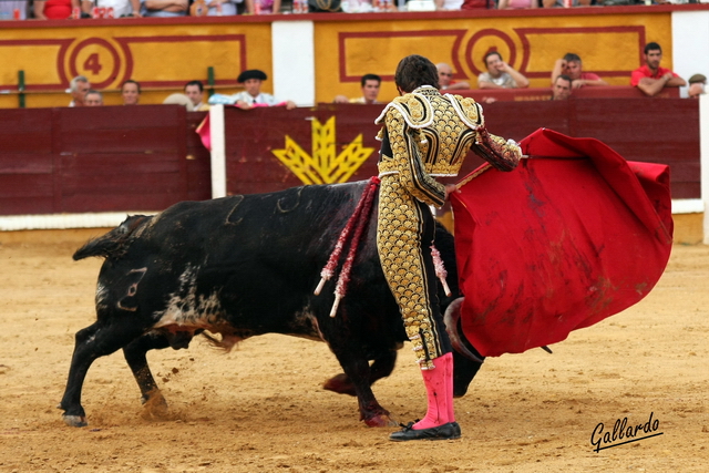 Manoletinas de ejecución ajustada.