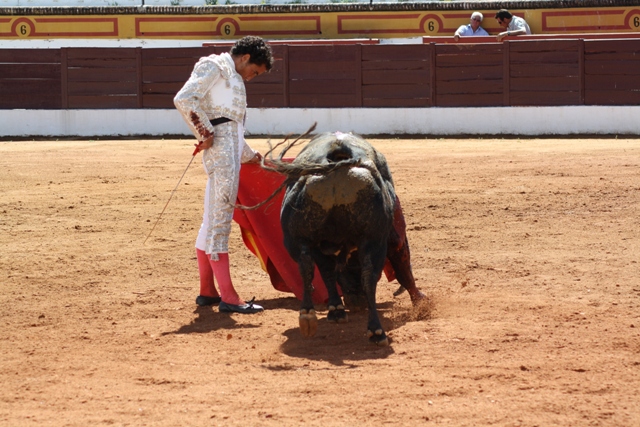 Torería al natural.