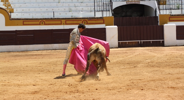 Y lancea por ambos pitones al eral.