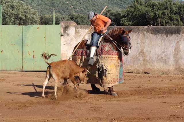 El picador la coge en el sitio exacto.