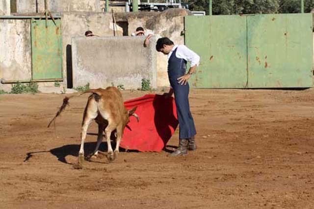 Pedrito testa la bravura en su muleta.