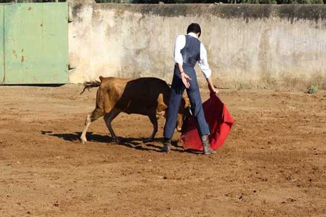 Hombros relajados, muñeca rota y la vaca fija en la franela.