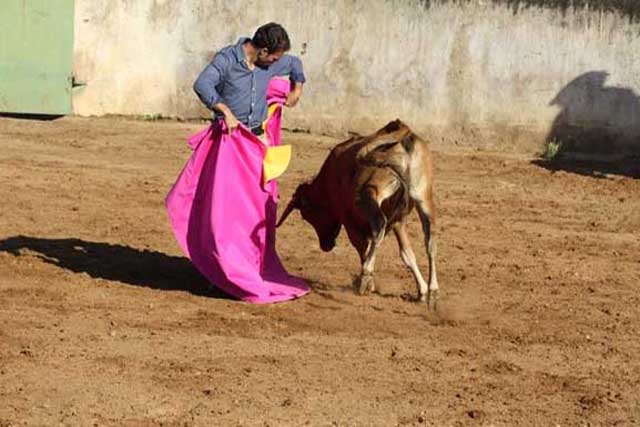 Recorte garboso y la sombra del picador aceñando.