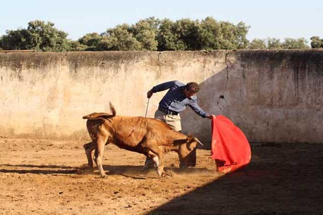 El torero la intenta llevar larga para que evalúe el ganadero.