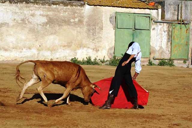 Toreo largo, de cintura rota y mucho sometimiento.