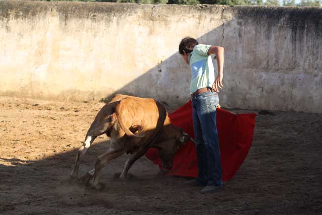 En esta vaca actuó Gines que hacía la tapia como sus compañeros de Escuela.