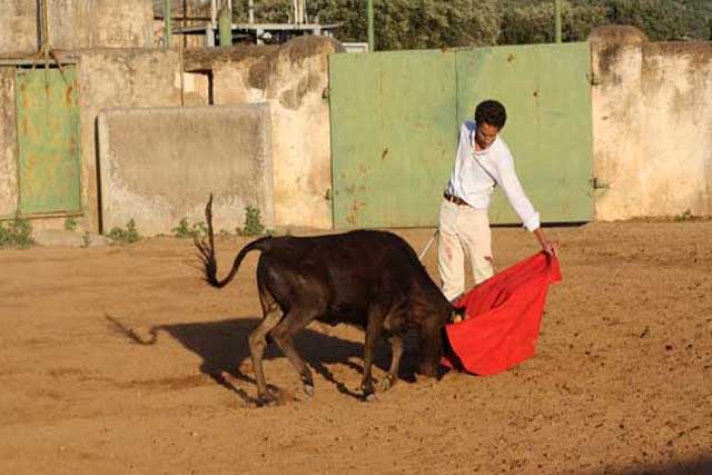 Posada de Maravillas que hacía la tapia también quiso probar el manjar.