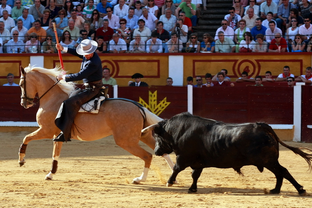 Fermín a lomos de rubia, una yegua guapa. (FOTO: Gallardo)